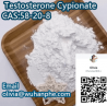 Testosterone Cypionate ჩAშ:58-20-8