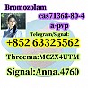 cas 71368-80-4 Bromozolam China's best supplier