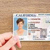 Id/Passport/License/CV/Diploma/Certificates