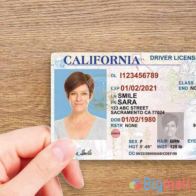 Id/Passport/License/CV/Diploma/Certificates - სურათი 1