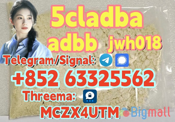 Direct selling High purity Precursor 5cladb - სურათი 1