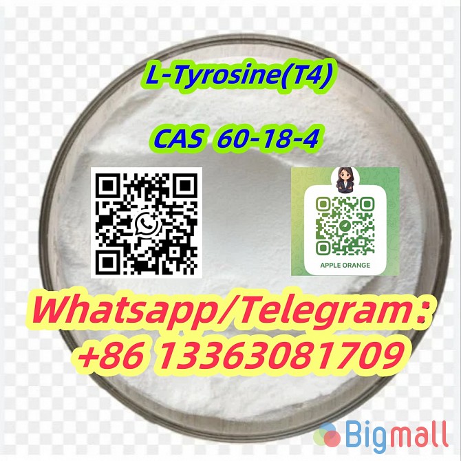 L-Tyrosine T4 Steriod Powder CAS 60-18-4 - სურათი 1