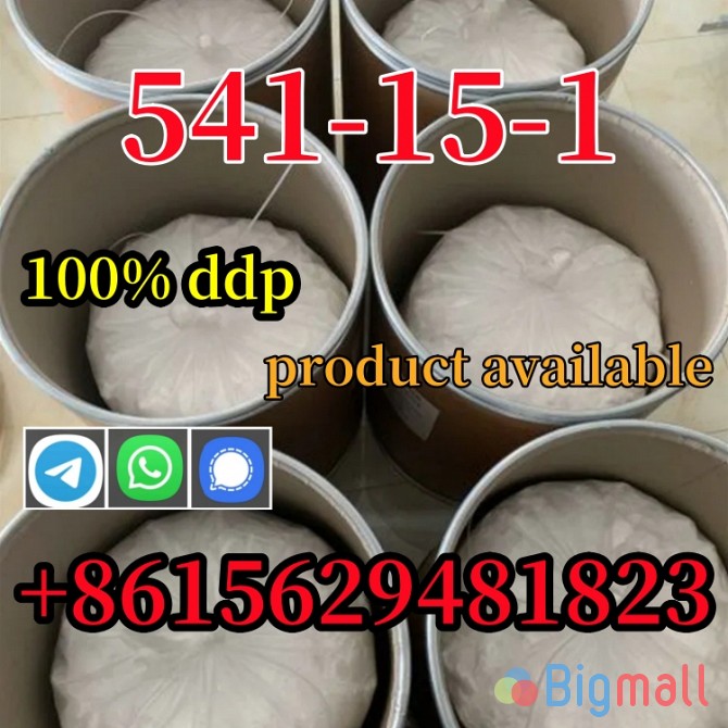 L-Carnitine CAS 541-15-1 Fast delivery Large stock Welcome to consult - სურათი 1