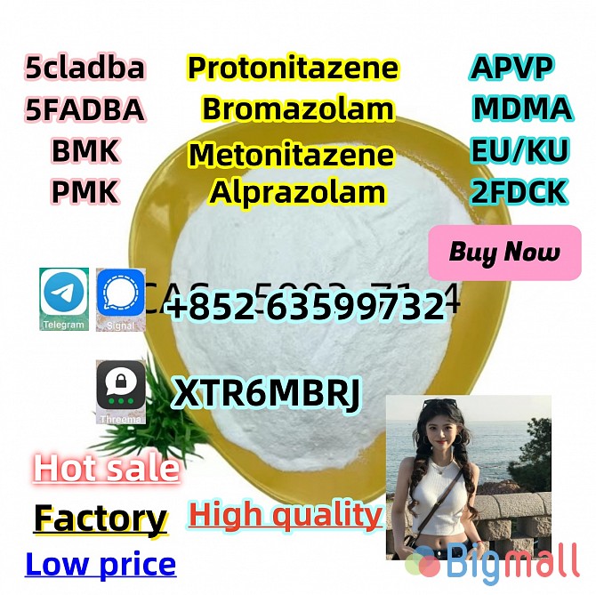 cas 119276 - 01 - 6 protonitazene hydrochloride cas 71368 - 80 - 4 Bro - სურათი 1