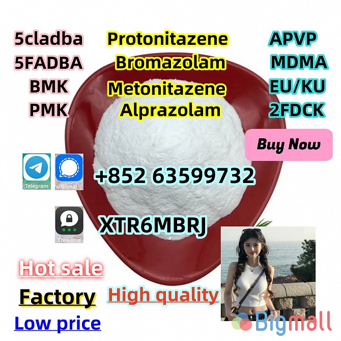CAS 119276-01-6 Protonitazene (hydrochloride)119276-01-6 - სურათი 1