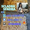 5cladba precursor powder 5cl adbb powder