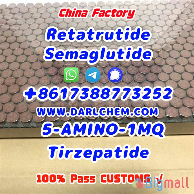 Semaglutide 5-AMINO-1MQ Retatrutide 910463-68-2 Low Price - სურათი 1