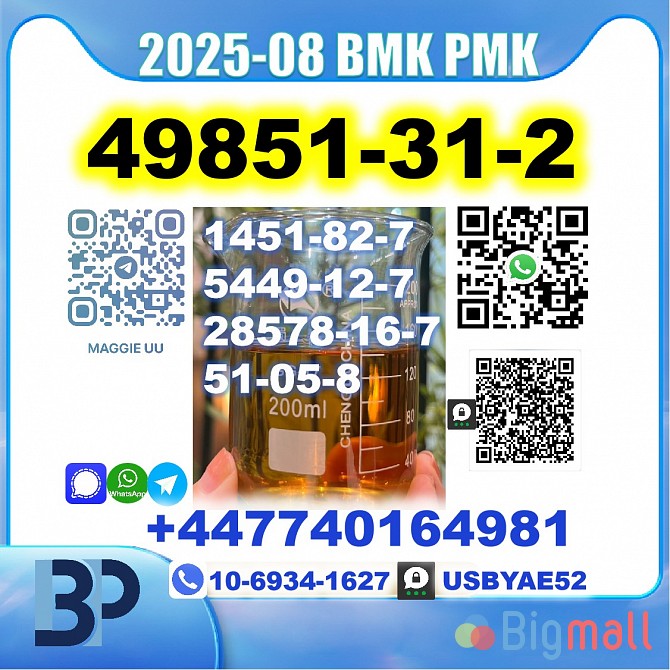 2-Bromo-1-Phenyl-Pentan-1-One 49851-31-2 BMK PMK Source factory - სურათი 1