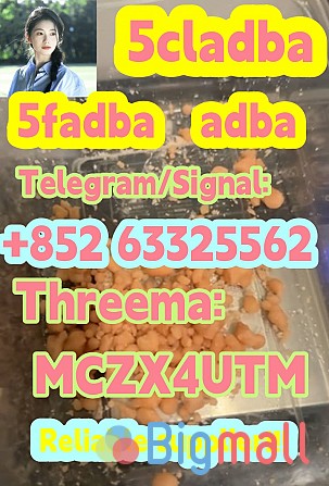 5cladba 5cl-adb-a jwh018 5f-adb MDMB-5F-PINACA - სურათი 1