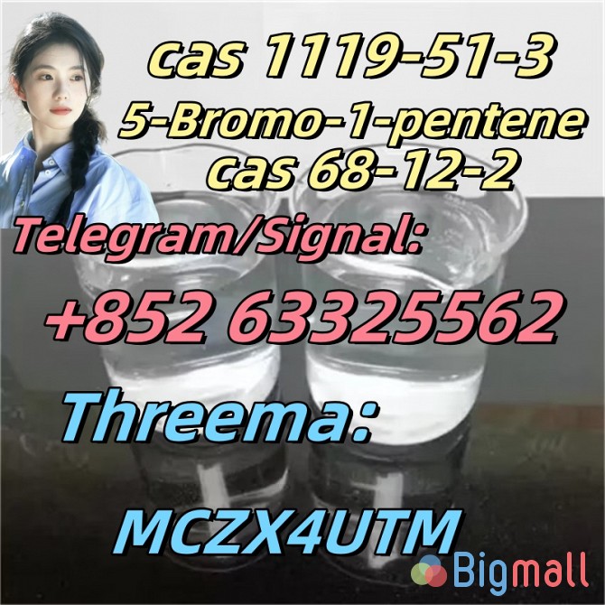 Prompt shipment 5-Bromo-1-pentene CAS 1119-51-3 safe delivery - სურათი 1