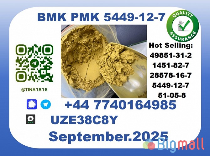 The BMK PMK, CAS 5449-12-7 toppest Factory Supplier - სურათი 1