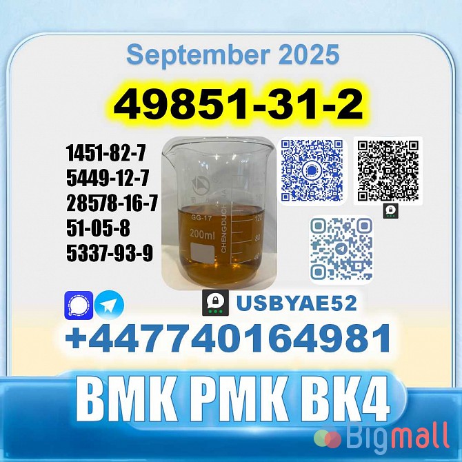 49851-31-2 BVF 2-Bromovalerophenone bmk BK4 factory stable supply - სურათი 1