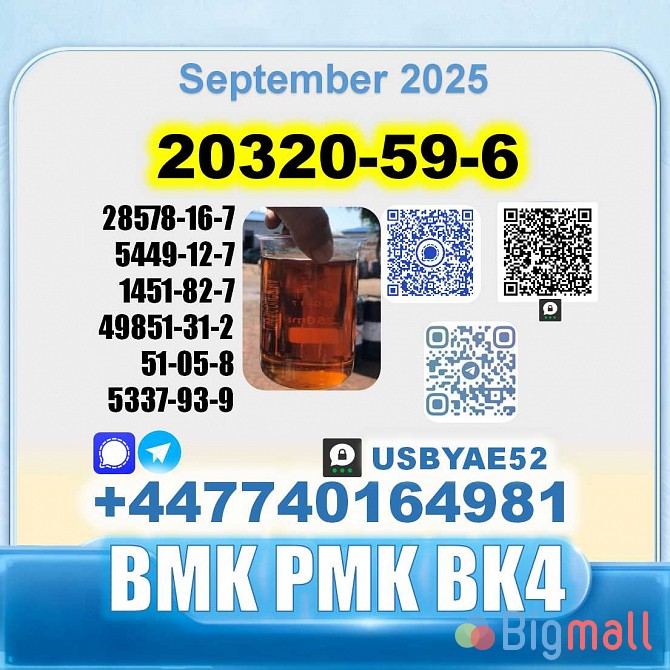 20320-59-6 BMK oil Diethyl (phenylacetyl) malonate SourceFactory - სურათი 1