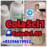 5cladba precursor adbb powder 5fadb raw material