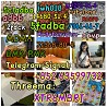 5cl-adb、5-cl-adb-a、5cladba、6cladba、ADBB、ADB-BUTINACA、5CLADBA、6CLADBA