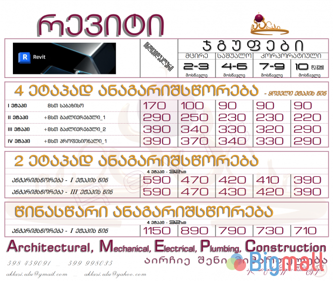 რევიტი პროფესიონალთათვის - Revit for Professionals - სურათი 1
