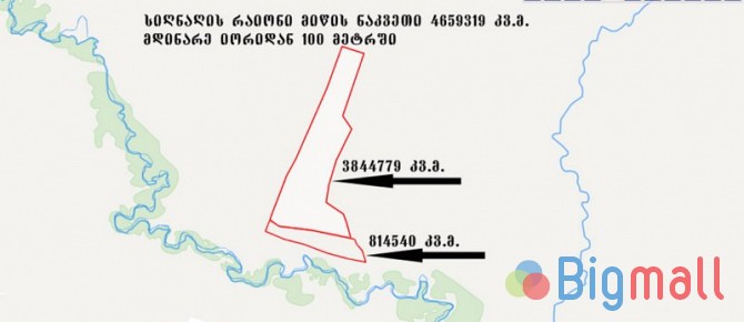 იყიდება სიღნაღის რაიონში სასოფლო სამეურნეო დანიშნულების - სურათი 1