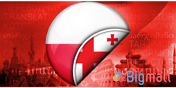 პოლონური ენის თარჯიმანი - სურათი 1