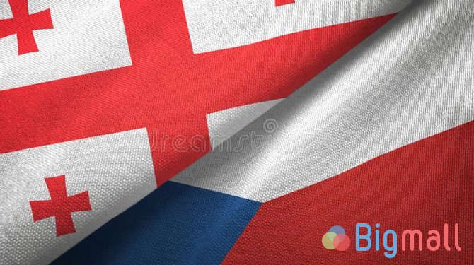 ჩეხური ენის თარჯიმანი - სურათი 1