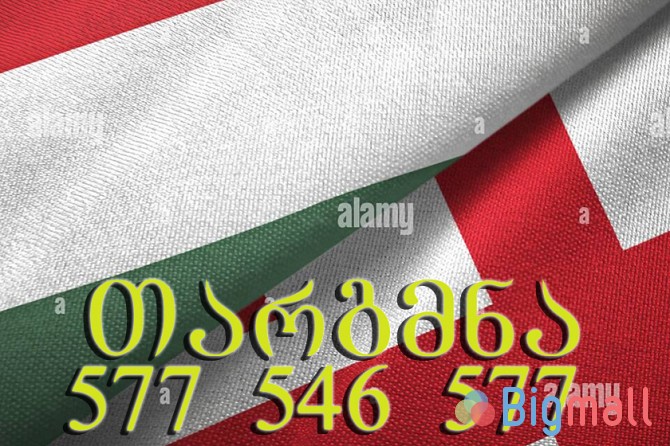 უნგრული ენის თარჯიმანი 558 636869 - სურათი 1