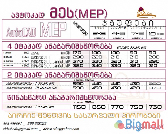 ავტოკად MEP-ის ტრენინგები - AutoCAD MEP - სურათი 1