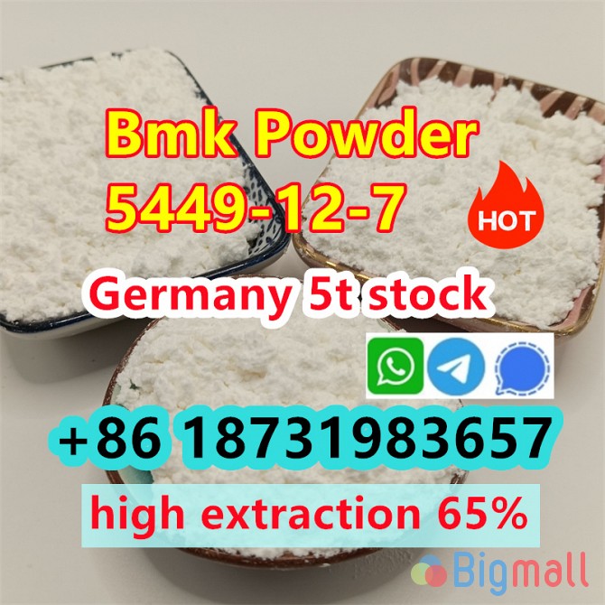 cas 5449-12-7 bmk glycidic acid powder bmk supplier/factory wholesale - სურათი 1