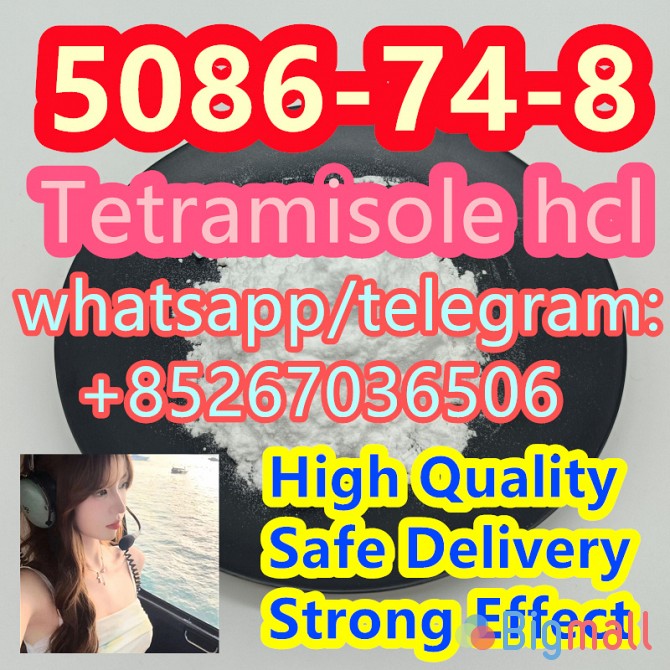 Direct Delivery 5086-74-8 Tetramisole hcl - სურათი 1