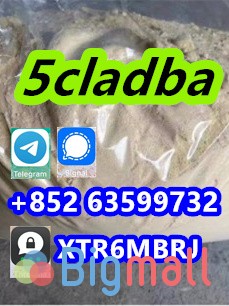 5CL-ADB powder 5cl adb 5CL 5cladba 5cl raw materials - სურათი 1