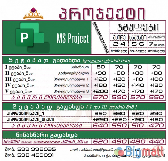 MS Project_პროჯექტი - სურათი 1