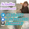 5CL-ADB supplier 5cladb 5cladba vendor on sale now