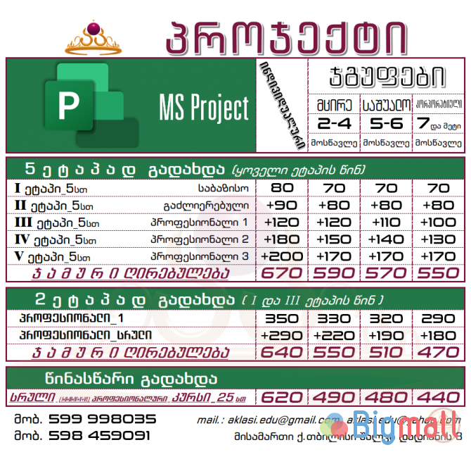 MS Project - სურათი 1