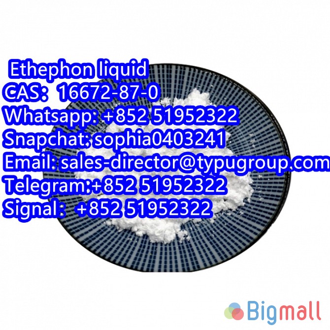 Ethephon liquid CAS16672-87-0 Telegram:+852 51952322 Signal：+852 51952 - სურათი 1