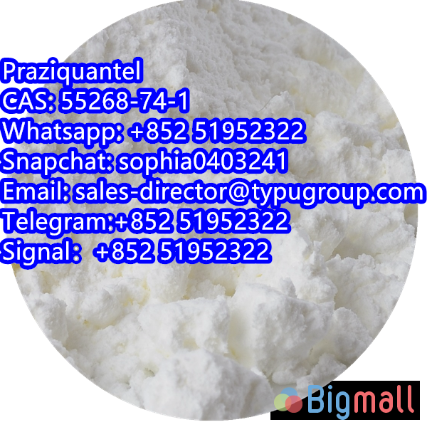 Praziquantel CAS55268-74-1 Telegram:+852 51952322 Signal：+852 51952322 - სურათი 1