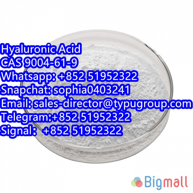 Hyaluronic Acid CAS 9004-61-9 Telegram:+852 51952322 Signal：+852 5195 - სურათი 1