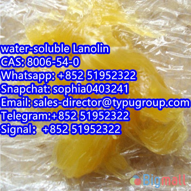 water-soluble Lanolin CAS8006-54-0 Telegram:+852 51952322 Signal：+852 - სურათი 1