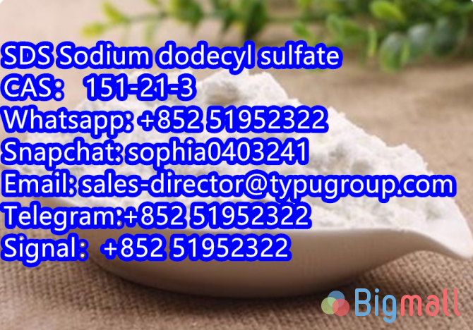 High purity Sodium dodecyl sulfate with low price CAS 151-21-3 - სურათი 1