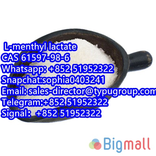 Food flavor L-Menthyl lactate CAS 61597-98-6 with factory price - სურათი 1