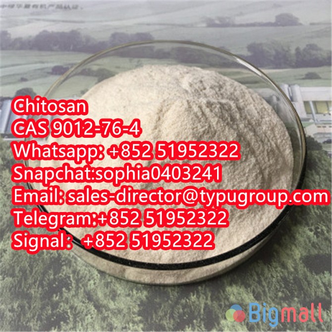 CAS 9012-76-4 natural water soluble nano fabric chitosan powder - სურათი 1