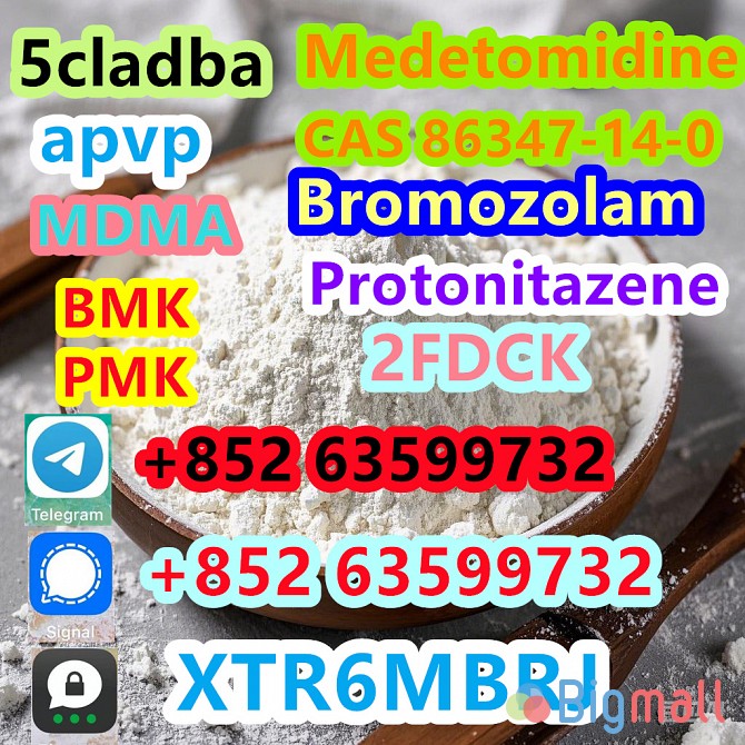 CAS 119276-01-6 Protonitazene (hydrochloride) - სურათი 1