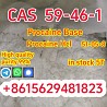 High quality cas 59-46-1 procaine base powder safely delivered to your
