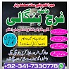 authentic amil baba in islamabad world famous astrologer in pakistan