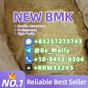 Premium B M K Glycidate Powder 5413-05-8 Reliable Supplier for Res