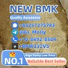 B M K Glycidate Powder 5413-05-8 | Stable Supply | Solvent-Free P