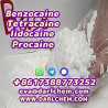 Lidocaine Benzocaine Procaine raw Powder 137-58-6 Factory Price