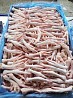 Wholesale Suppliers Premium Quality Halal Frozen Chicken Fეეტ