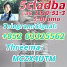 RAW cas 1119-51-3 5-Bromo-1-pentene 5cladba