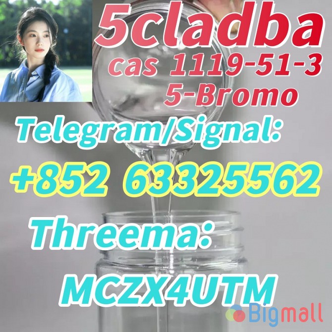RAW cas 1119-51-3 5-Bromo-1-pentene 5cladba - სურათი 1
