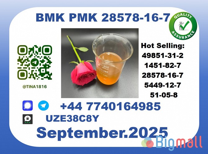 Pharmaceutical BMK PMK， 28578-16-7 Chemical raw materials - სურათი 1