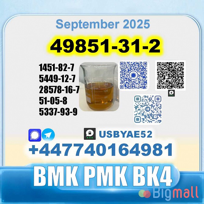49851-31-2 bvf bmk pmk bk4 2b4m premium factory safe delivery - სურათი 1