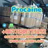 Procaine crystals Powder 59-46-1 Fortified for Injection with GMP Cert